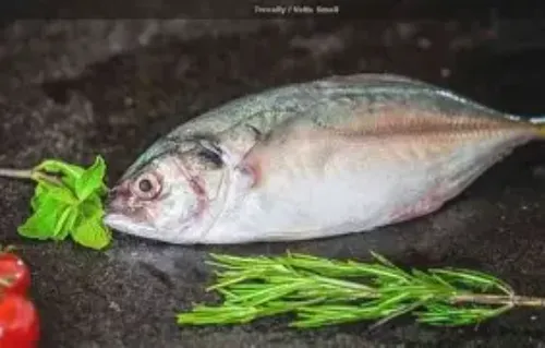 വറ്റ (Vatta - Trevally)
